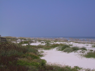 St Augustine Beach Dunes